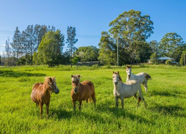 41 Kendall Road, Kendall NSW 2439