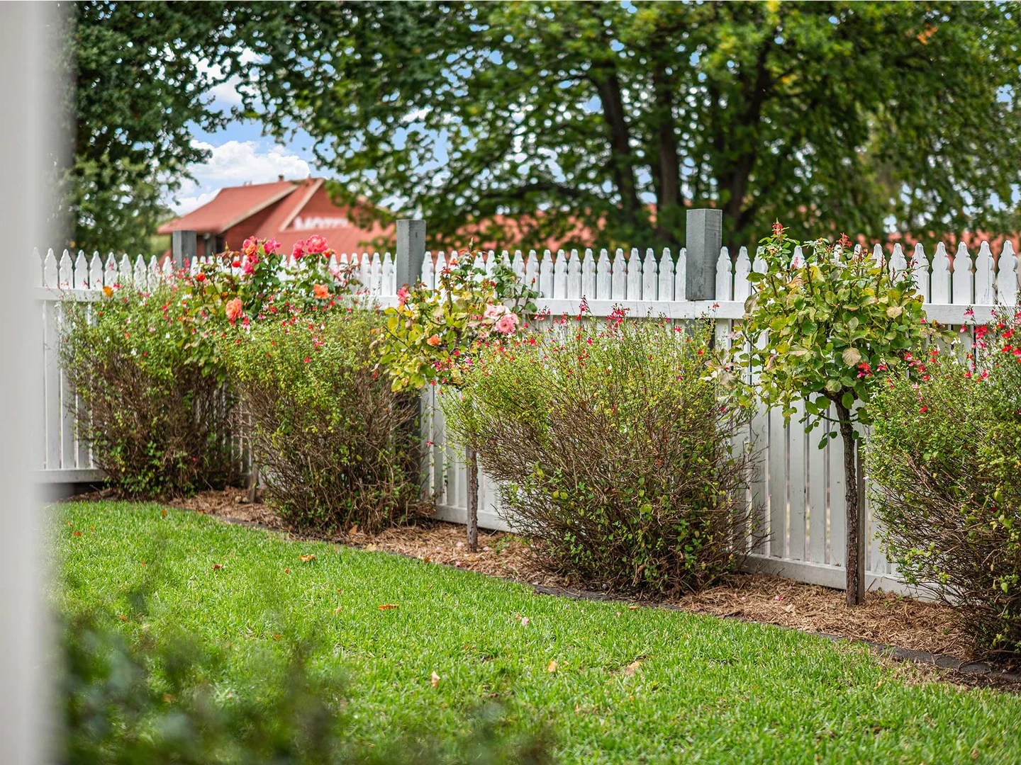 Additional image 23 of 21 Goldsmith Street, Hamilton VIC 3300