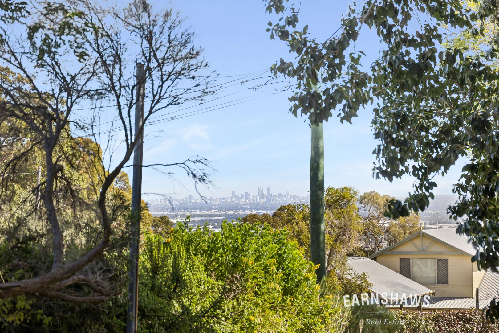 Image 33
