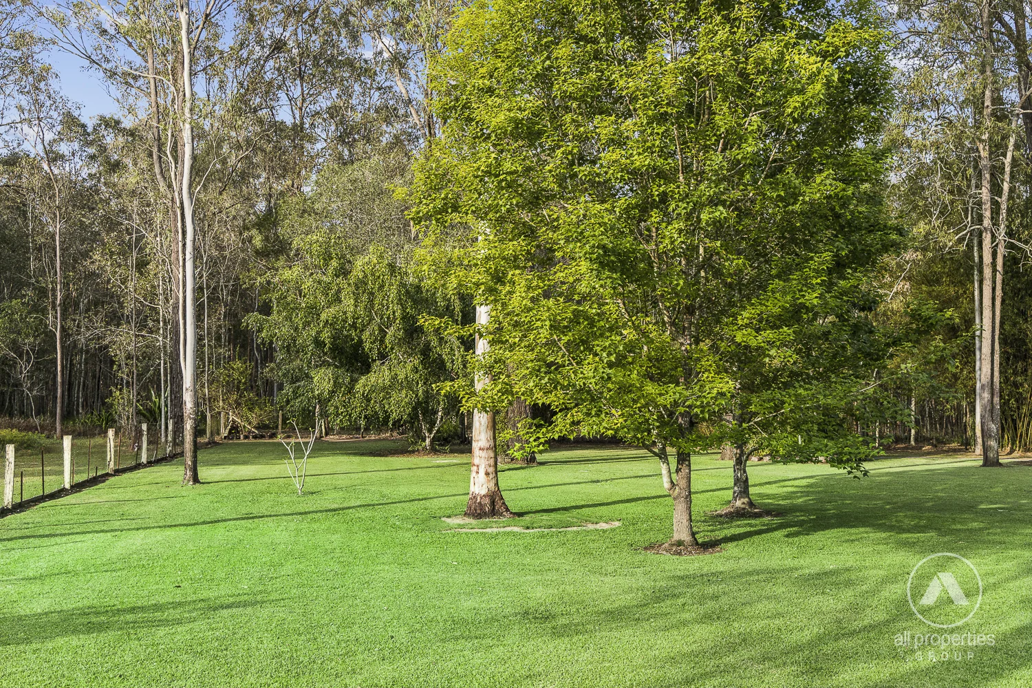 Image 35