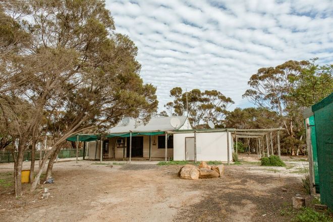 Picture of 67 North Newdegate Road, NEWDEGATE WA 6355