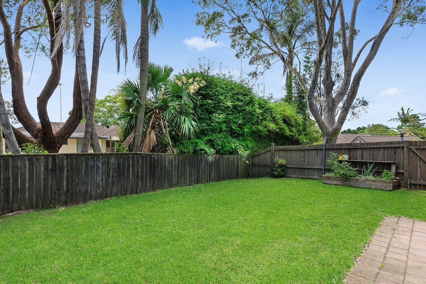 6a Burraga Avenue, Terrey Hills NSW 2084 Apartment For Rent Domain