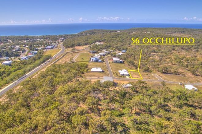 Picture of 56 occhilupo Circuit, AGNES WATER QLD 4677