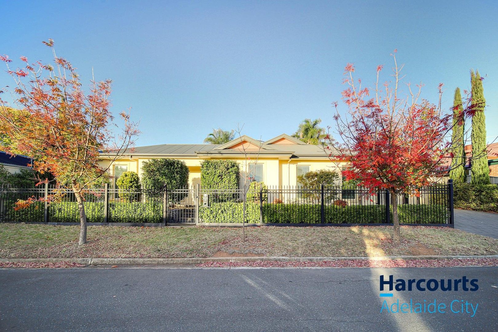 2A Cedar Avenue, Glenunga SA 5064, Image 0