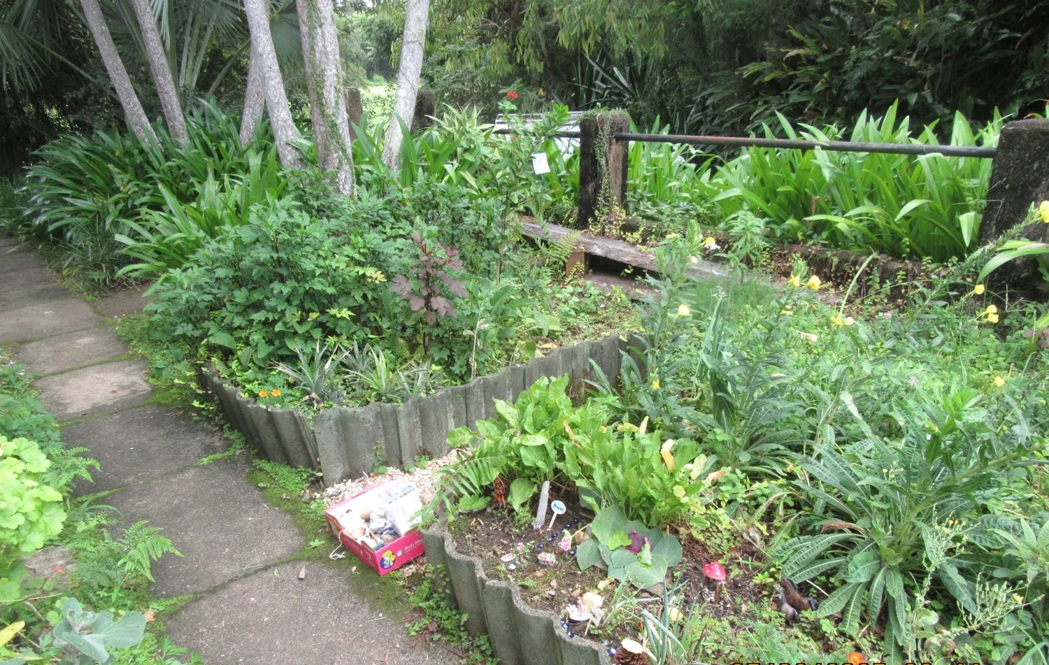 Additional image 9 of Uki NSW 2484