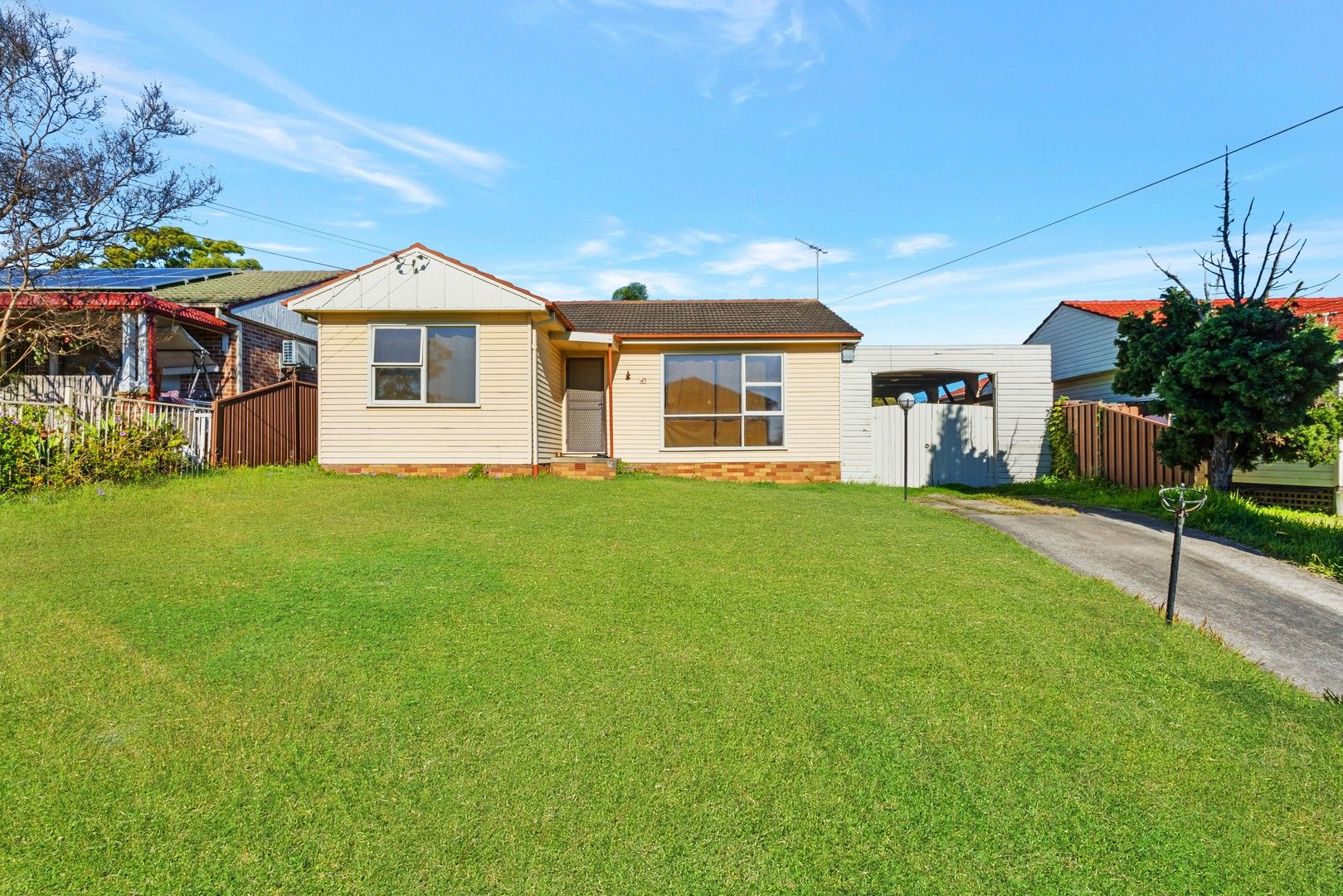 45 Hamel Road, Mount Pritchard NSW 2170, Image 0