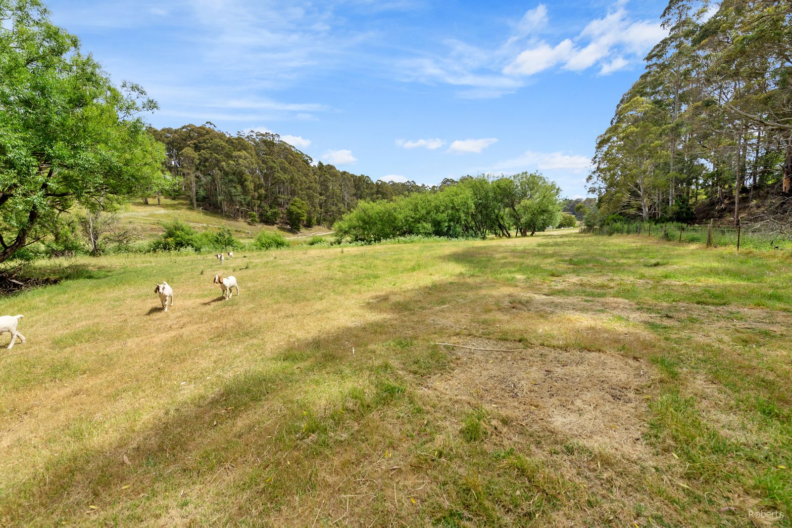 49 Richardson Road, Tugrah TAS 7310, Image 0