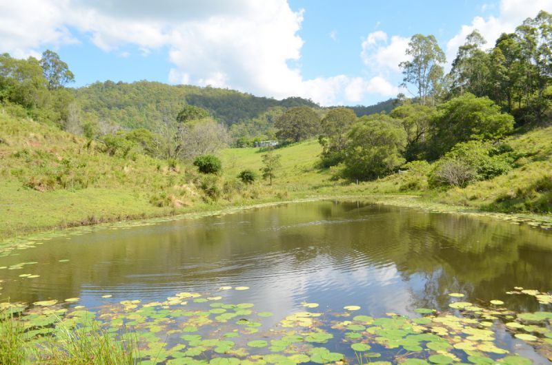 234 Harpers Creek Rd, CONONDALE QLD 4552, Image 2