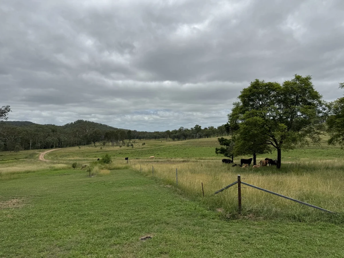 Additional image 38 of 1609 Monal Road, Monto QLD 4630