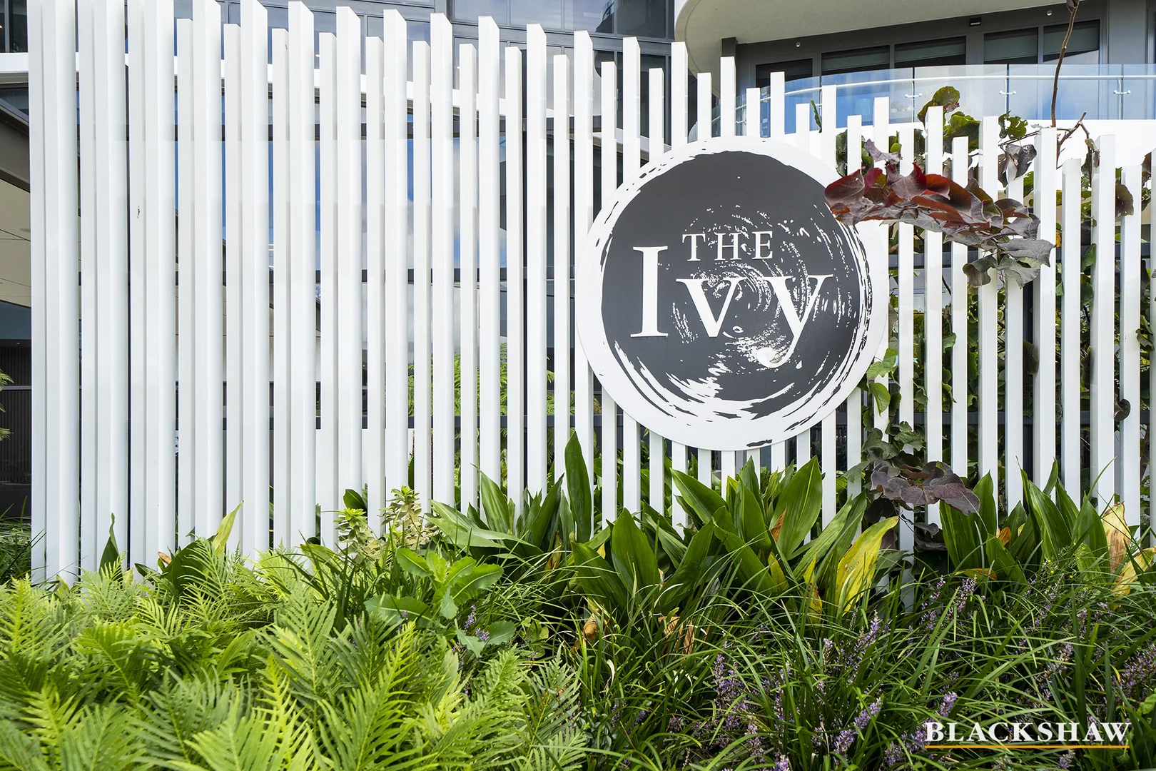 Additional image 14 of 161/15 Irving Street, Phillip ACT 2606