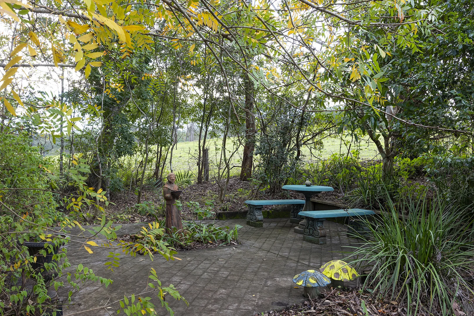 Image 25