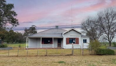 Picture of 25 Ben Hall Road, GUNNINGBLAND NSW 2876