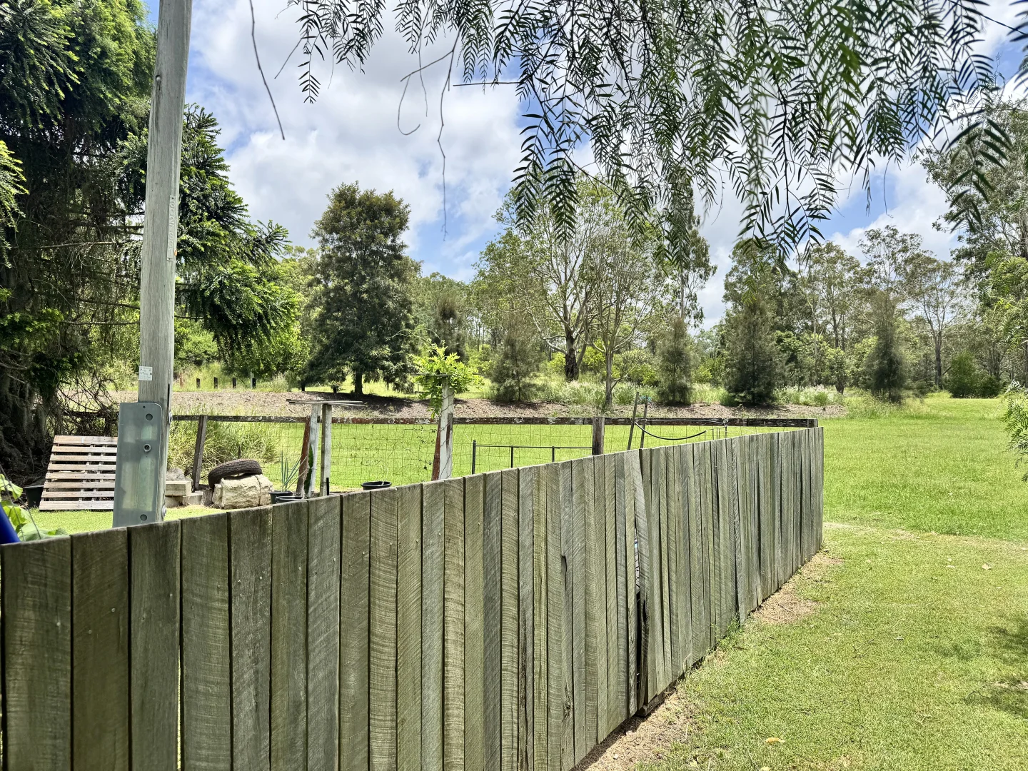 Image 13