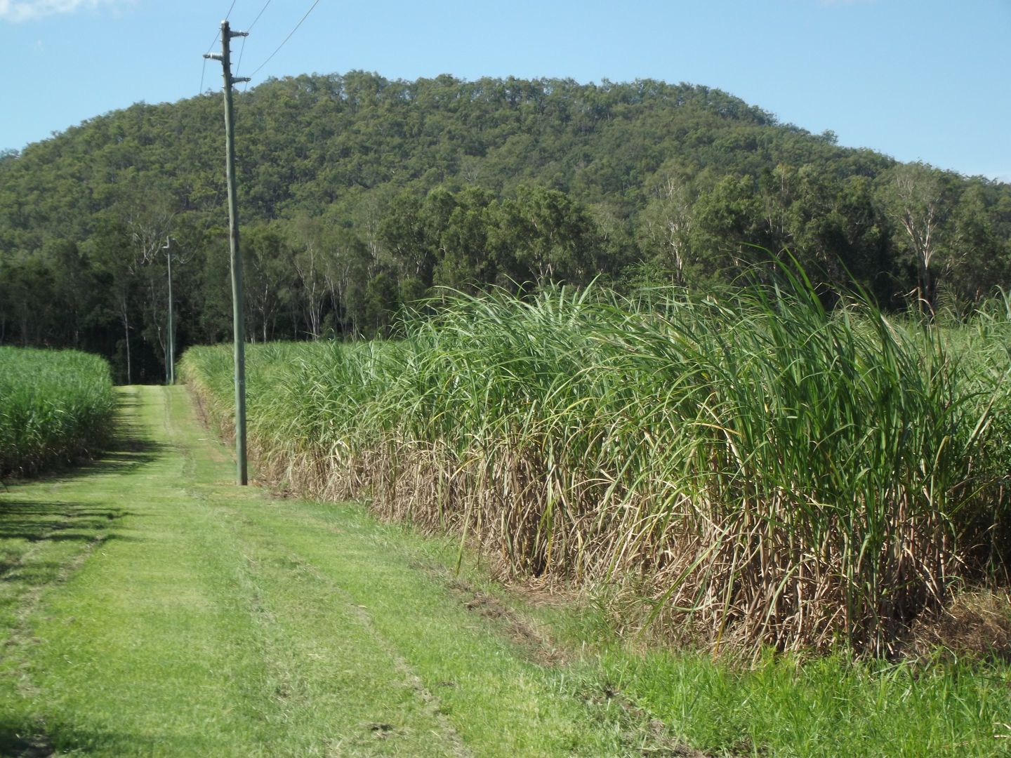 Gargett QLD 4741, Image 1