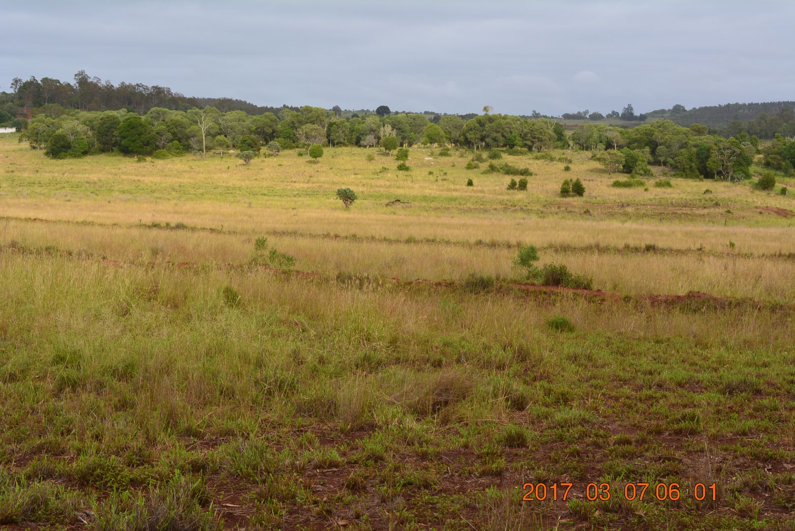 Speedwell QLD 4613, Image 1