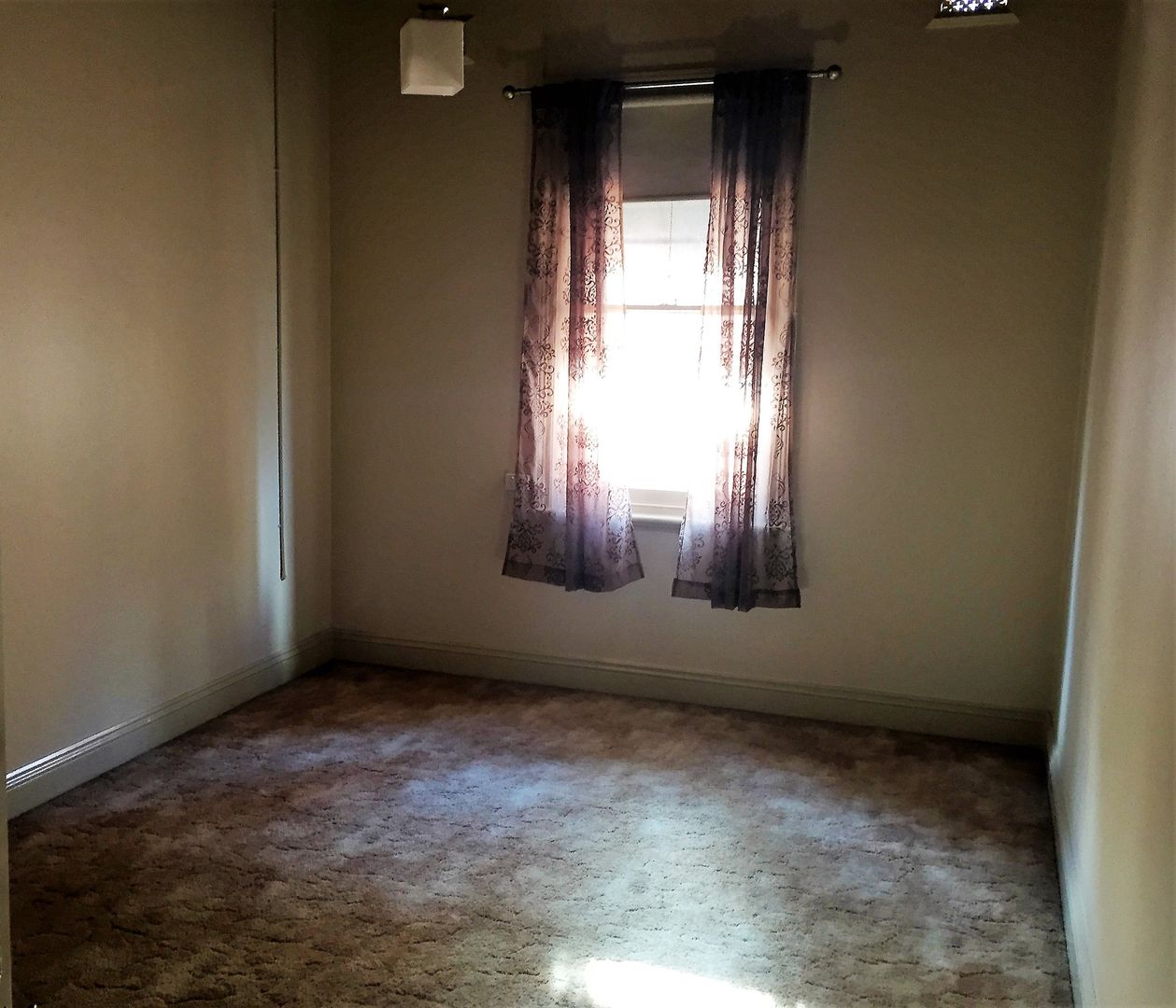 1/24 Sanger Street, Corowa NSW 2646 Apartment For Rent 300 Domain