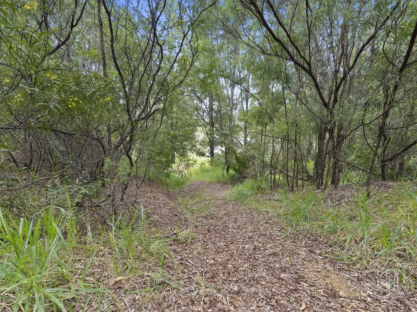 Image 13