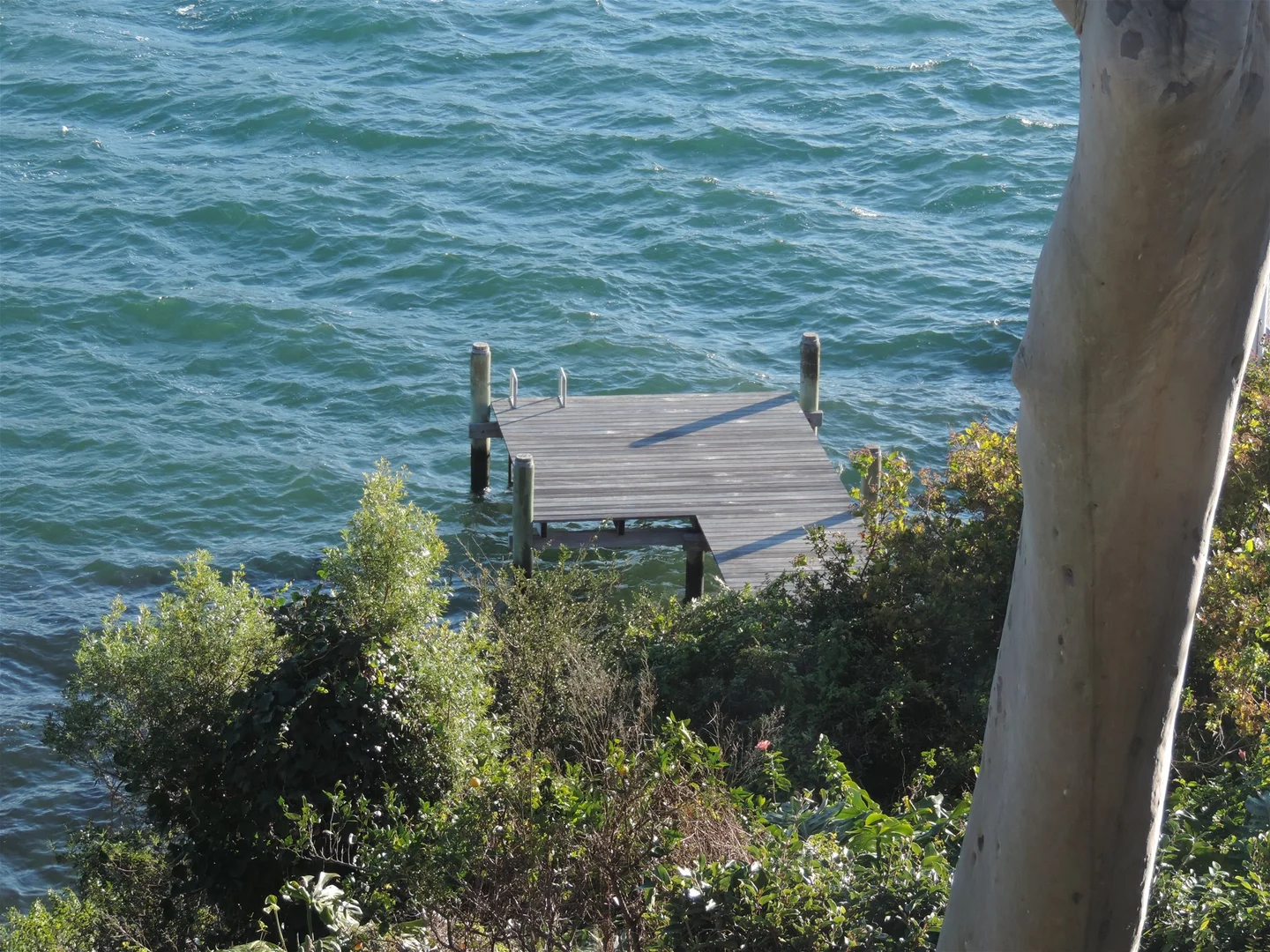 Image 19