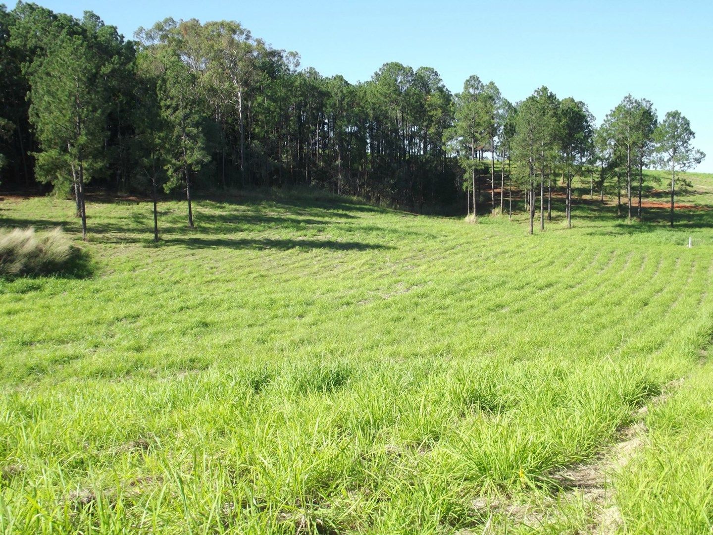 Lot 22 Fieldhead Road, South Isis QLD 4660, Image 0