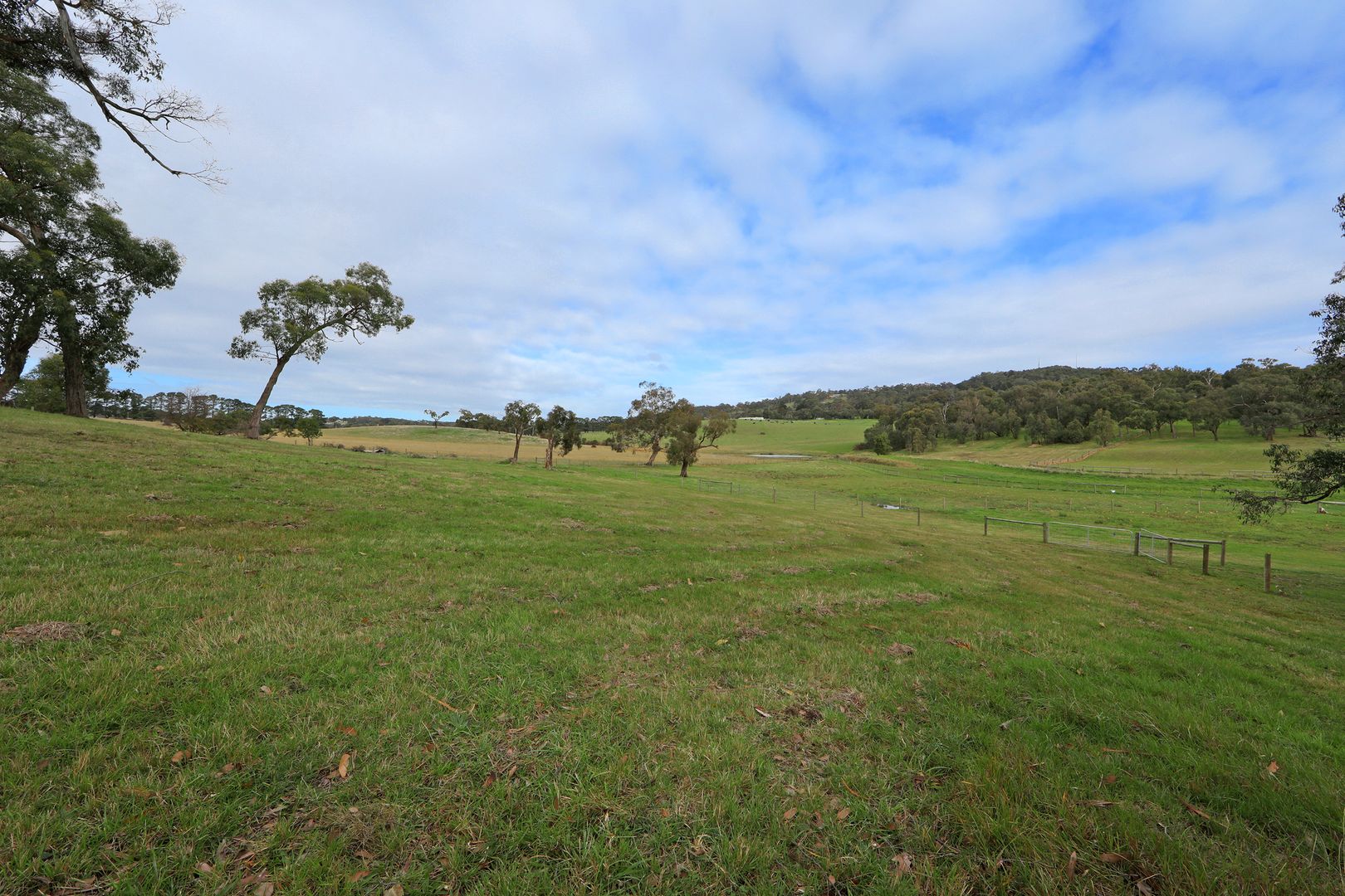 12 Langley Court, Lysterfield VIC 3156 Domain