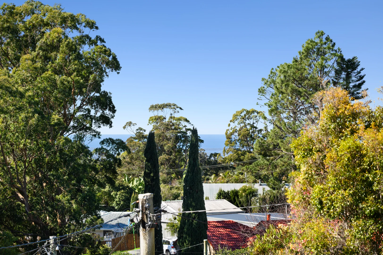 Image 29
