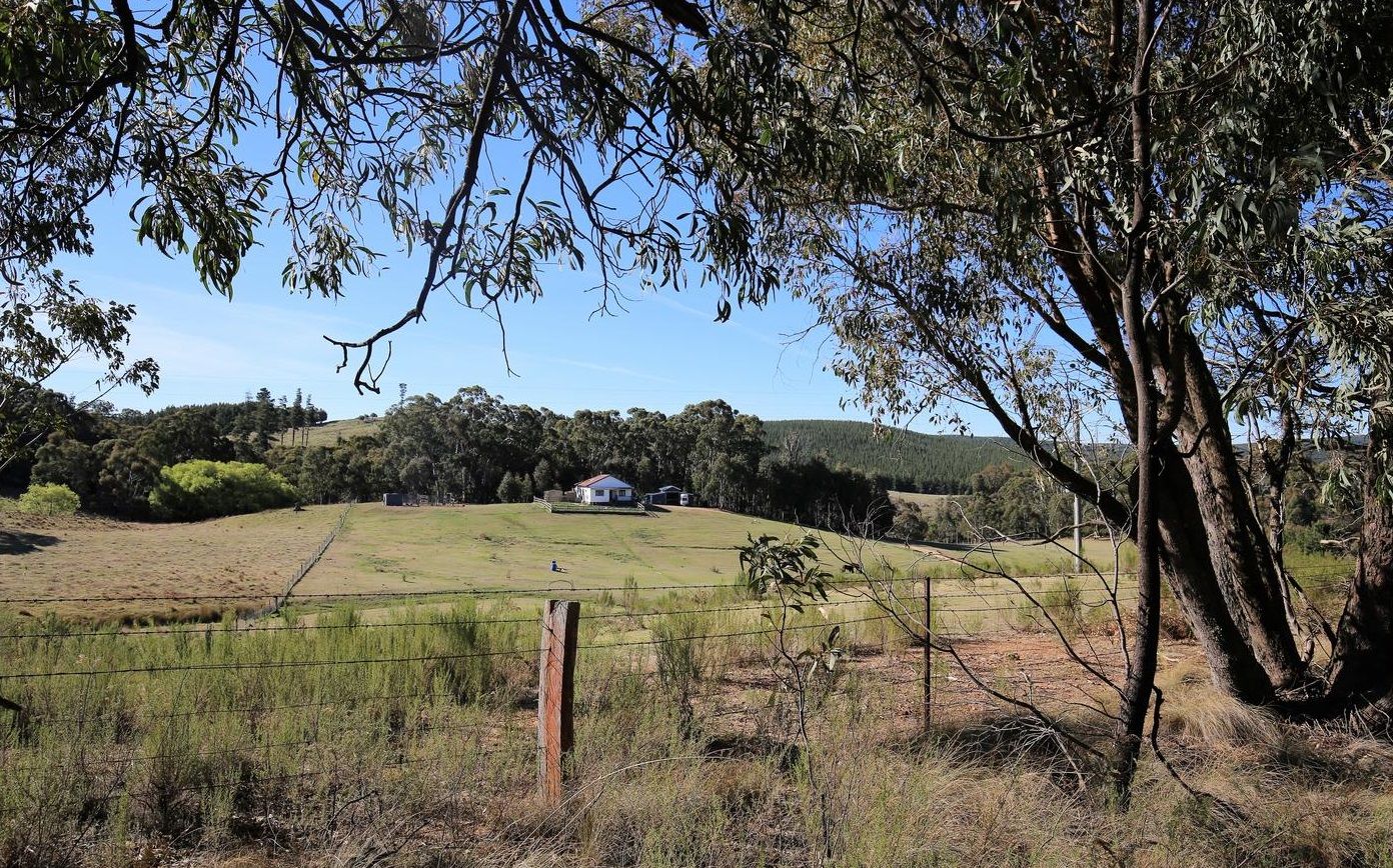 Yetholme NSW 2795, Image 2