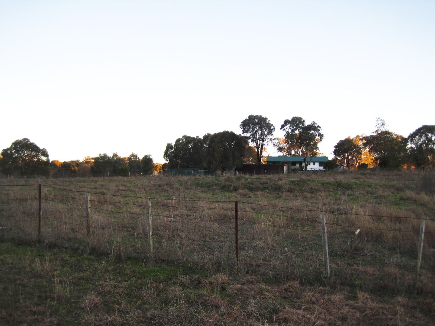 1590 Windeyer Road, Windeyer NSW 2850, Image 2