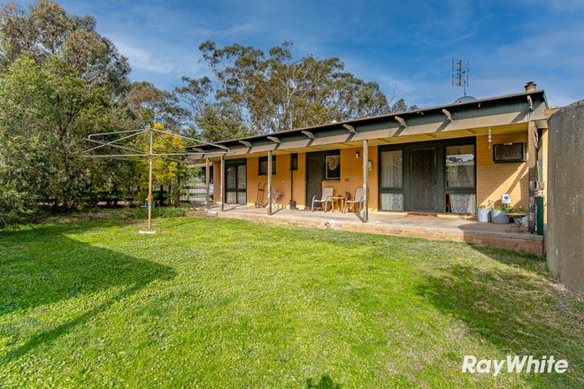 Picture of 19 Mudgwick Street, RAVENSWOOD VIC 3453