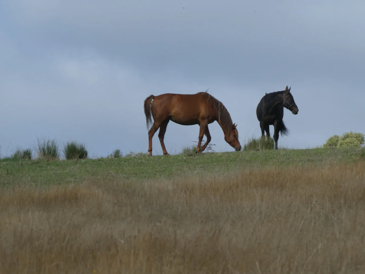 Image 14