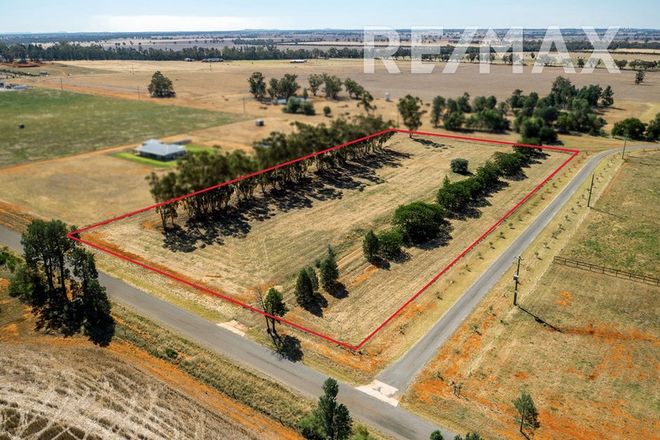 Picture of 89 Campbells Lane, COOLAMON NSW 2701