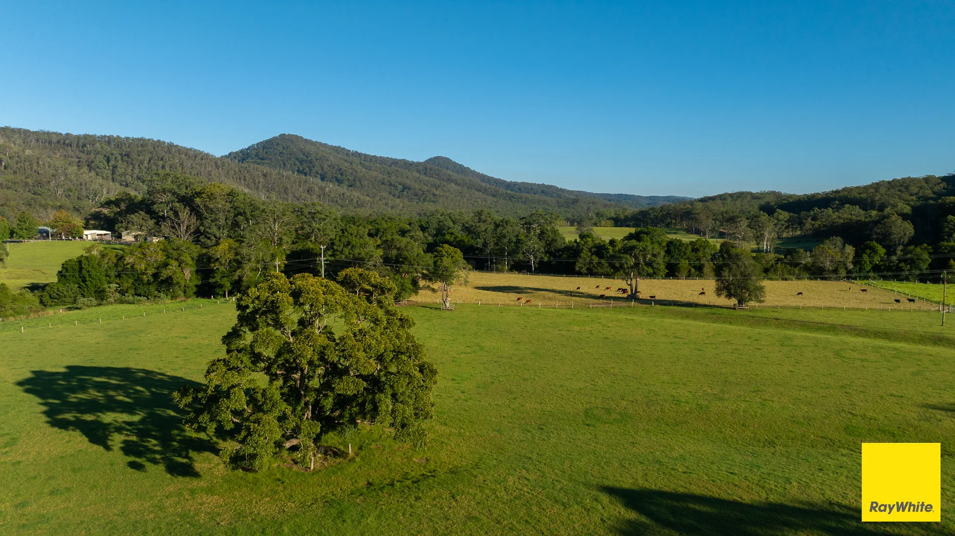 Additional image 16 of 45 Crawford River Road, Crawford River NSW 2423