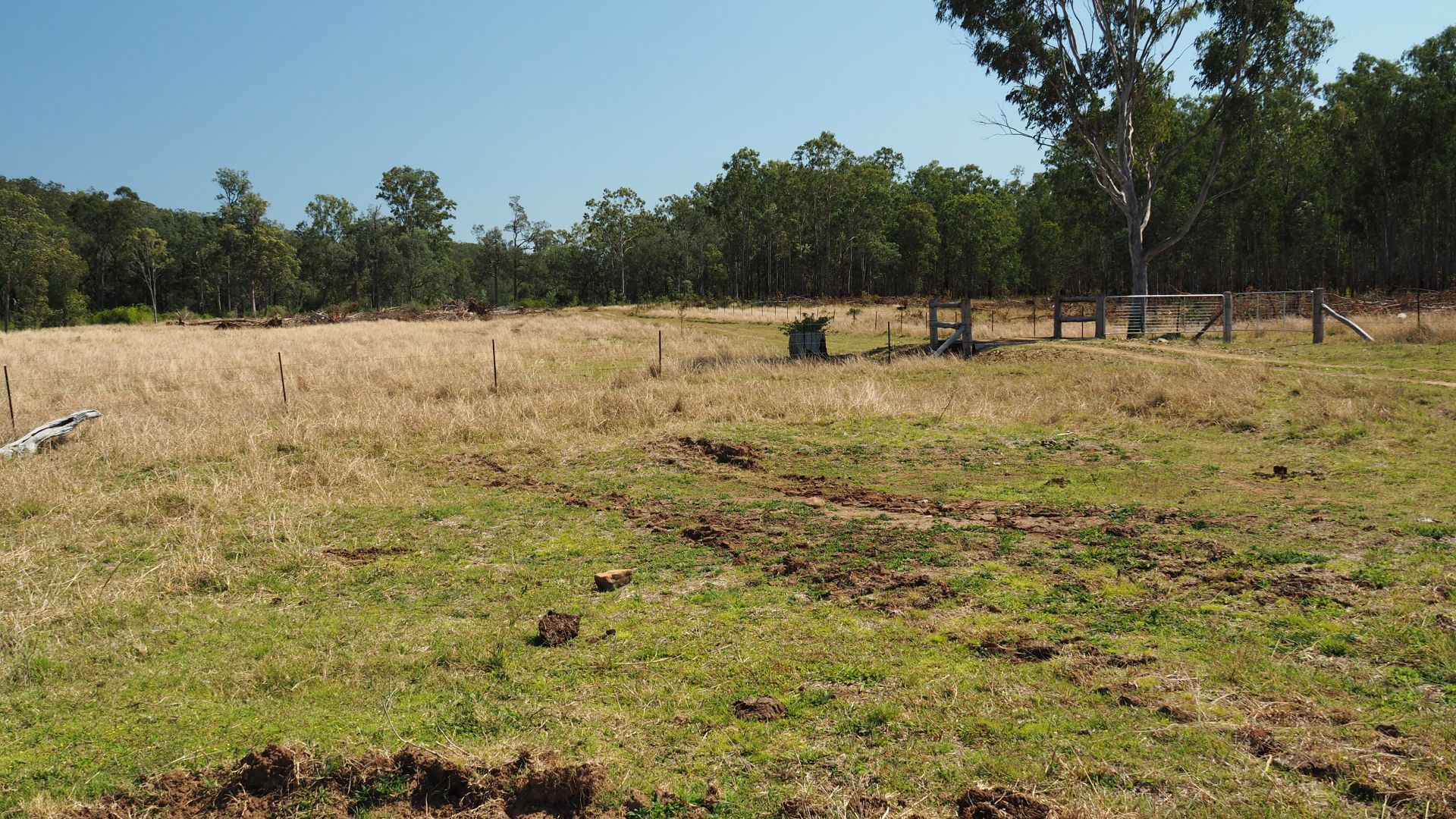 Dalga Road, Dalga QLD 4630, Image 2