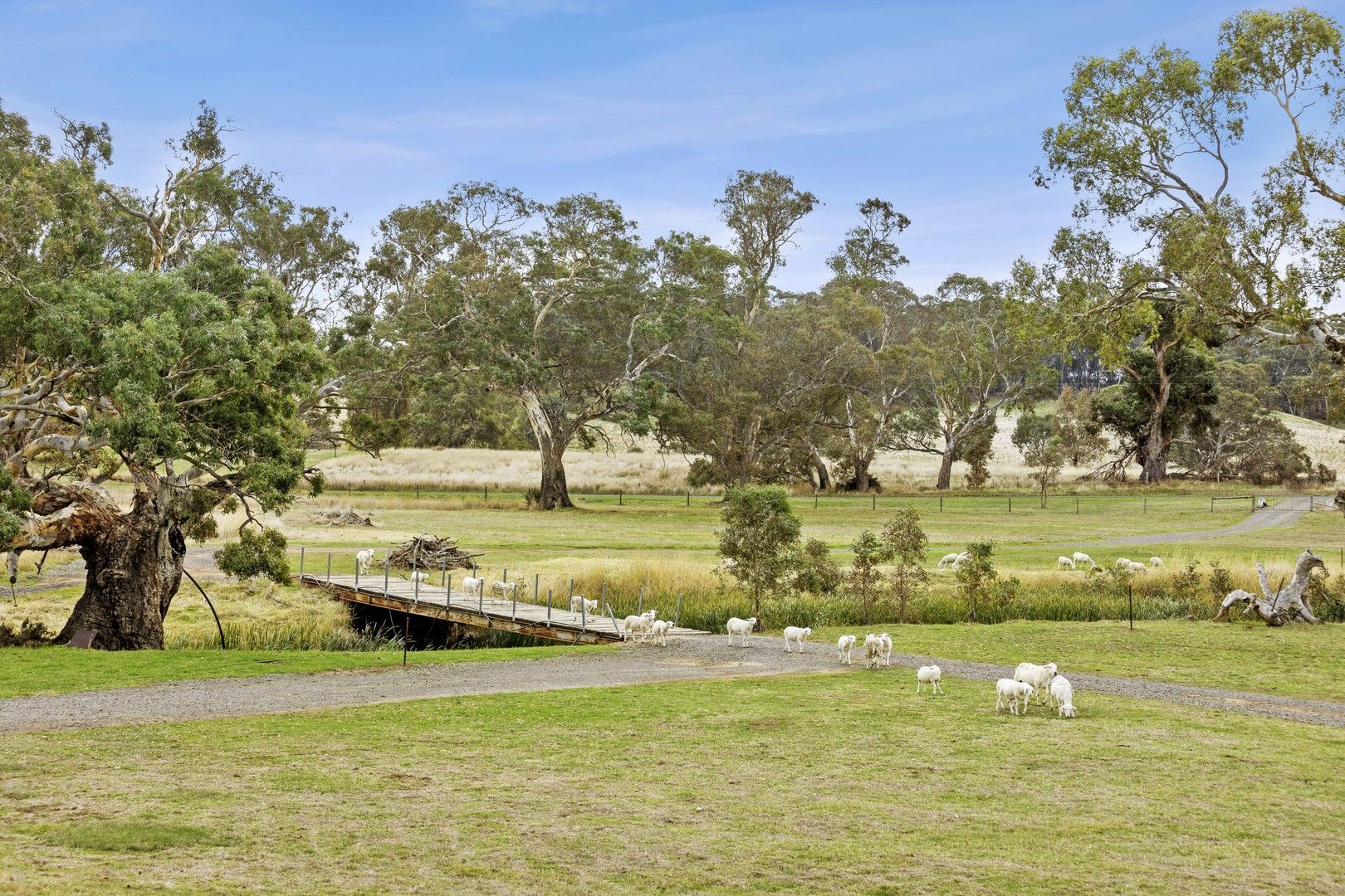155 Beckworth Court Road, Clunes VIC 3370, Image 0