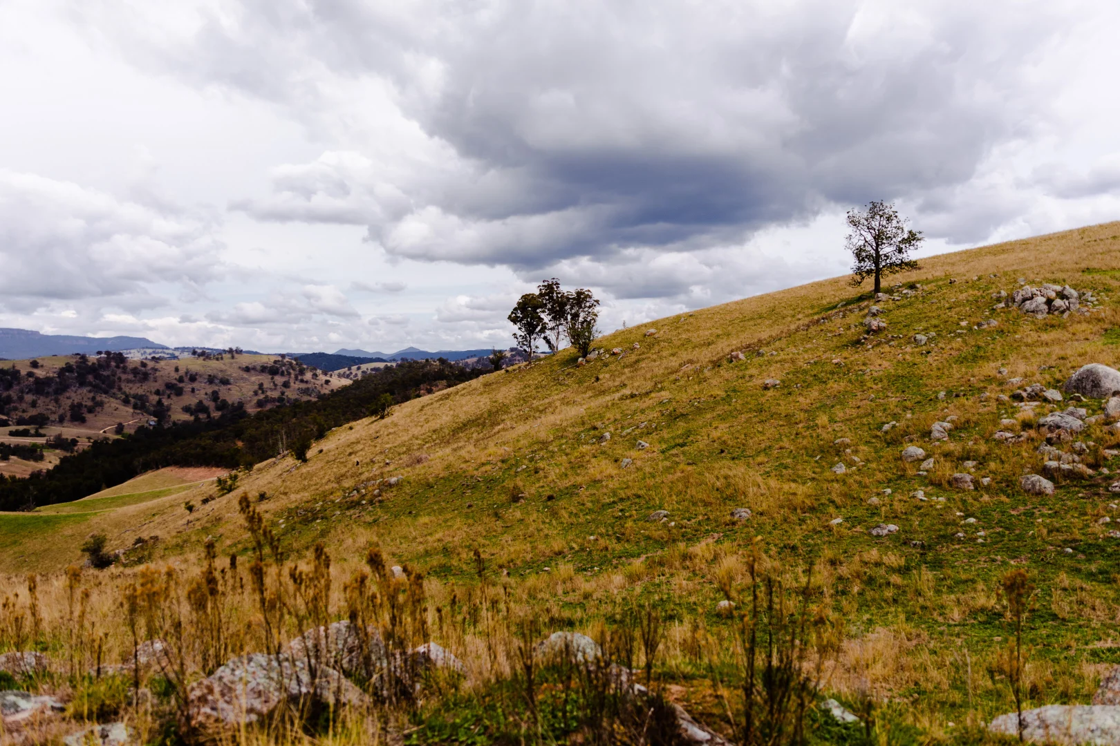 Image 33