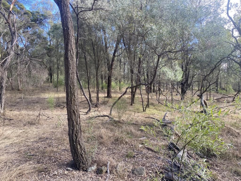 Lot75DP750969 Yarraman Road, Wybong NSW 2333 Vacant Land for Sale