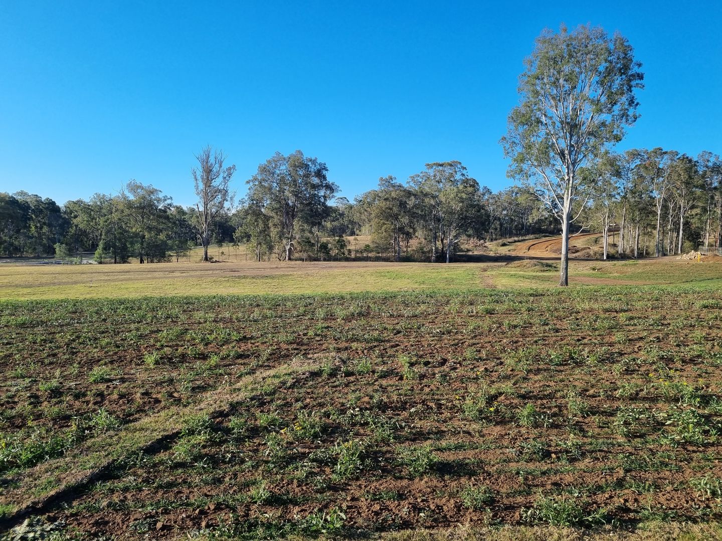 Woodhill QLD 4285 vacant land for Sale, 515,000 2018726831 Domain