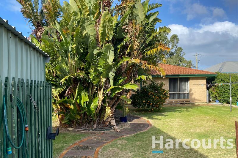 19 Barlee Road, Capel WA 6271, Image 2