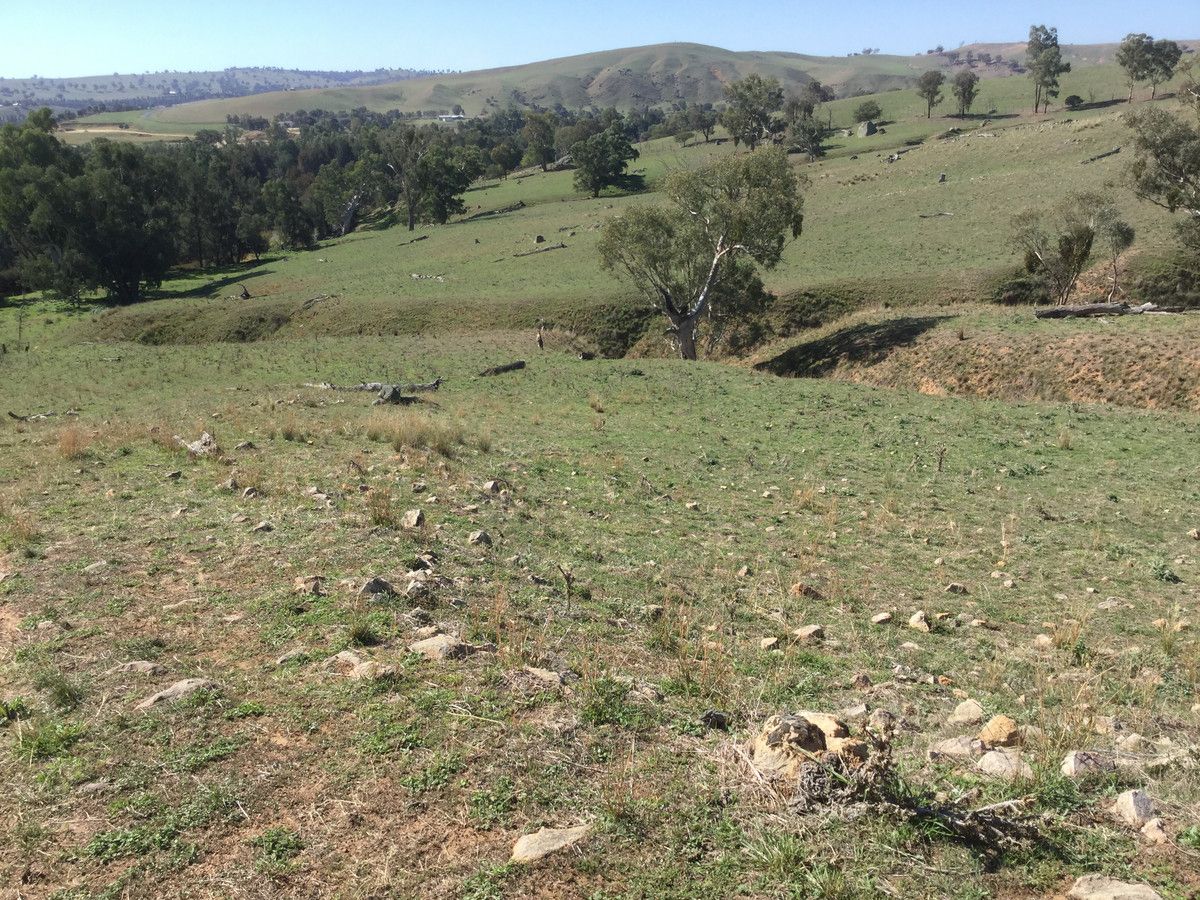 Lot 11 Widgeongully Road, Jugiong NSW 2726, Image 1