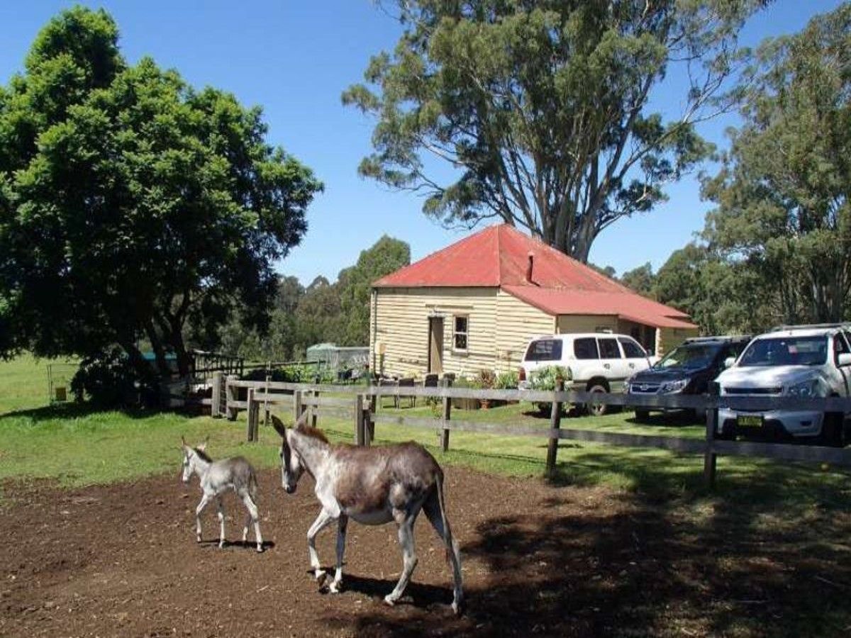 172A Pointer Road, Yatte Yattah NSW 2539, Image 0