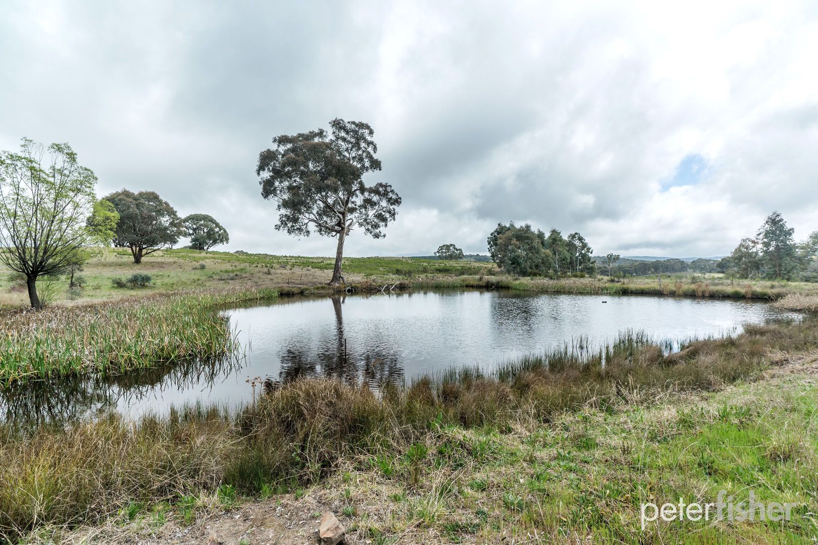 1067 Ophir Road, Orange NSW 2800, Image 2