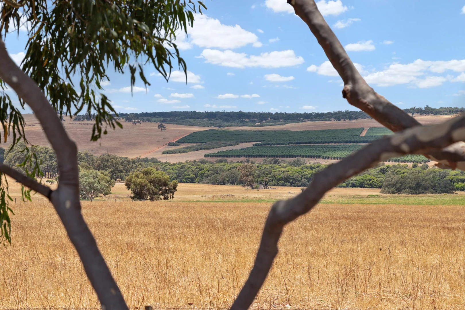Image 11