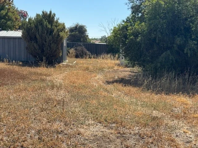 Image 10