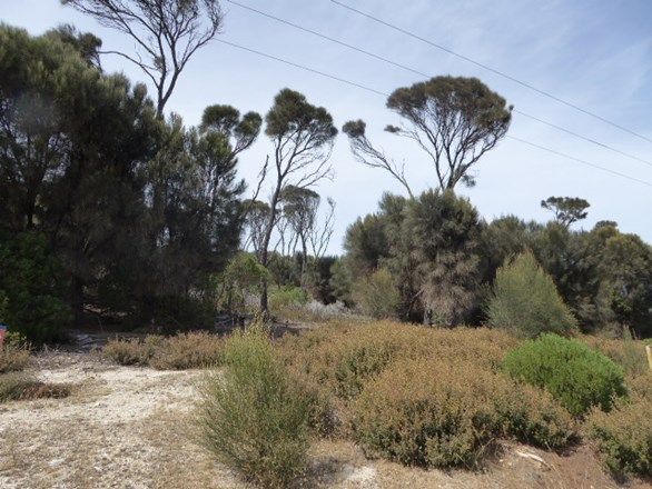 97 Port Davies Road, Emita TAS 7255, Image 1