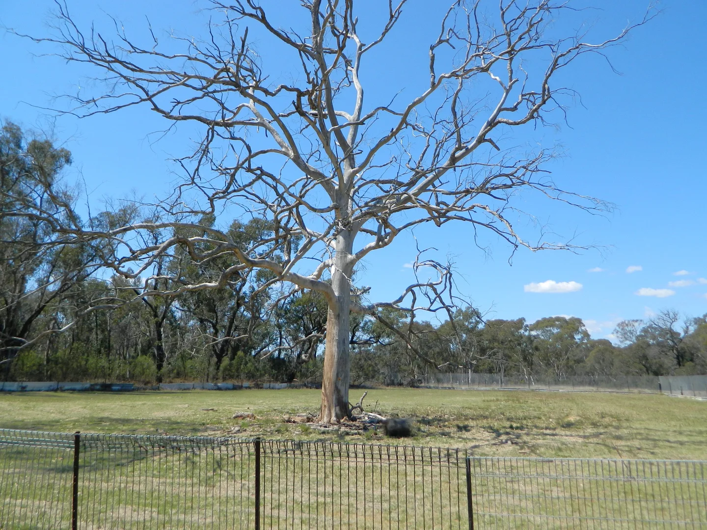 Image 31