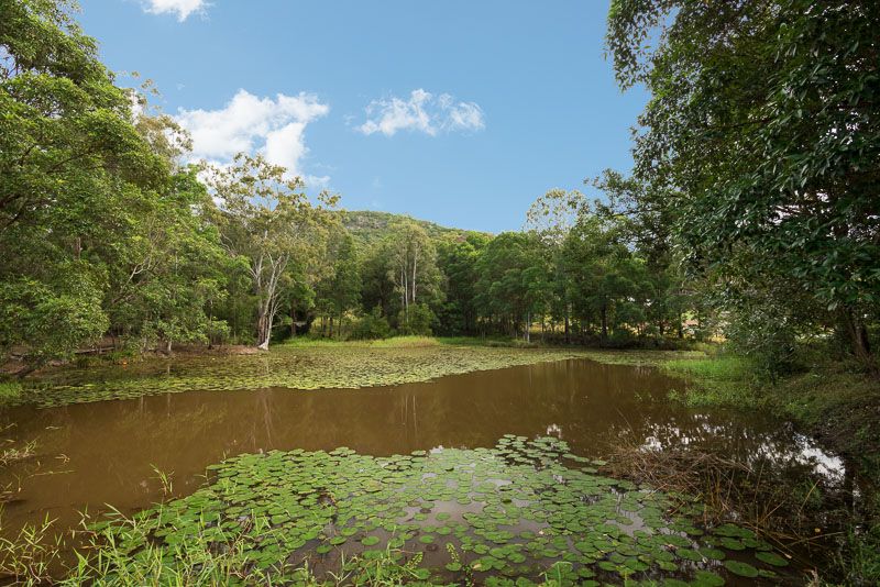 Valdora QLD 4561, Image 0