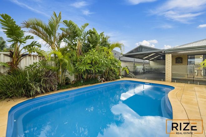 Picture of 14 Dentata Street, BANKSIA GROVE WA 6031