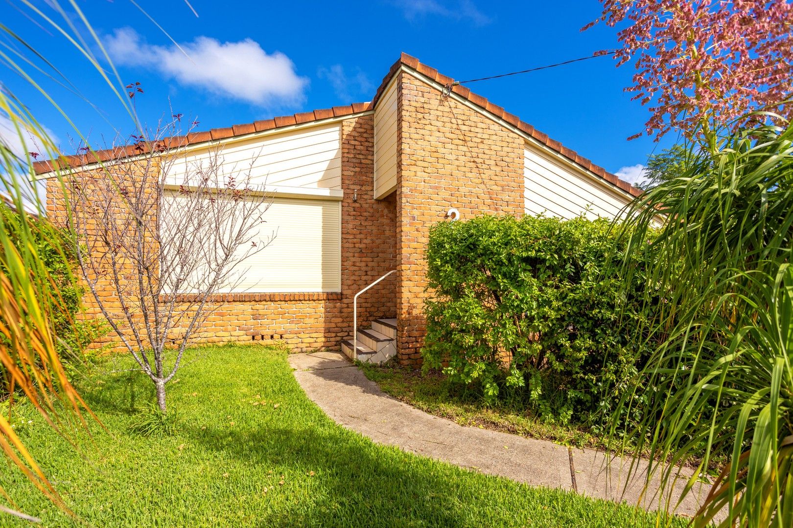 24 Wyoming Street, Wingham NSW 2429, Image 0