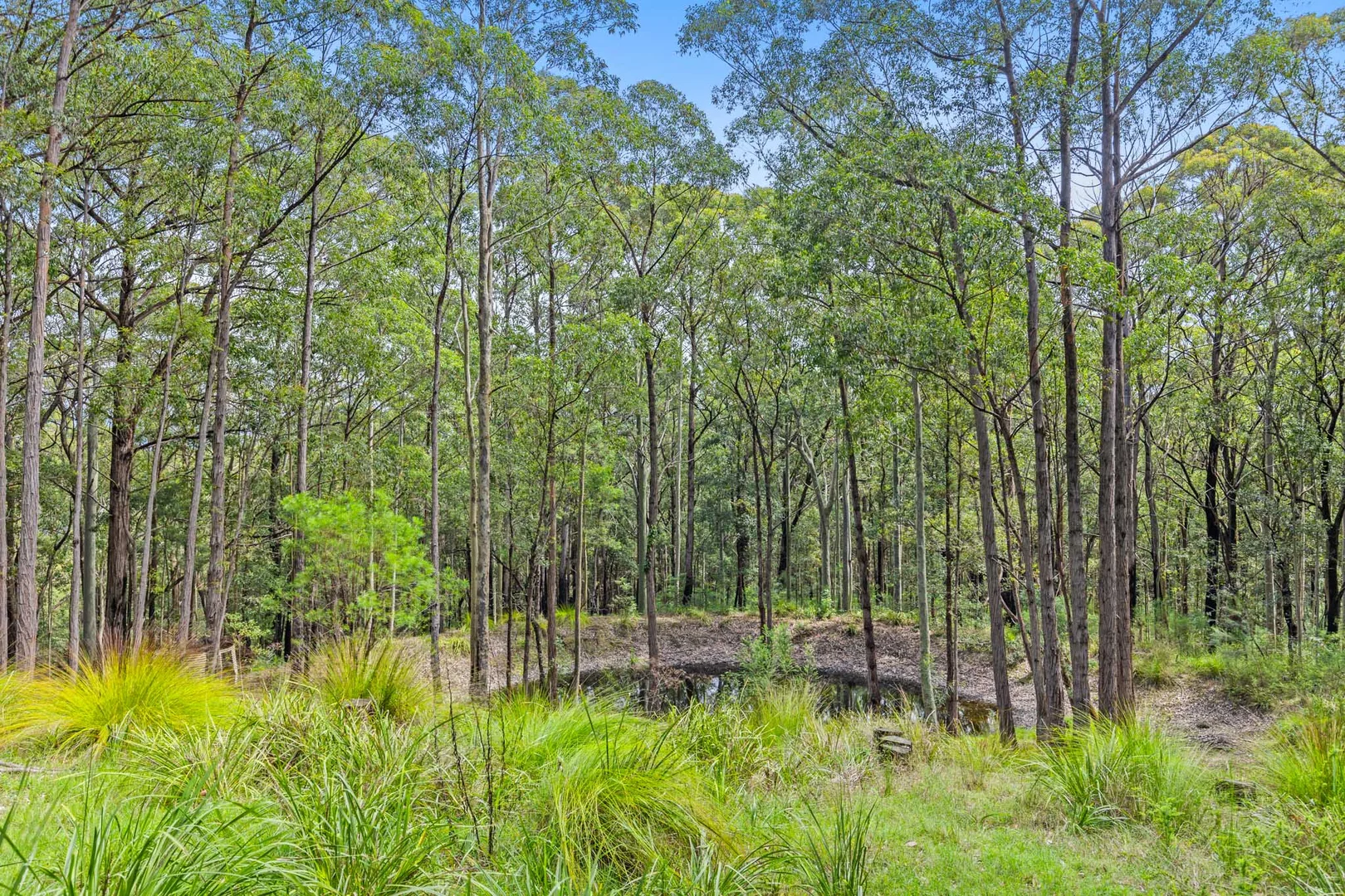 Additional image 26 of 618 Woodburn Road, Morton NSW 2538