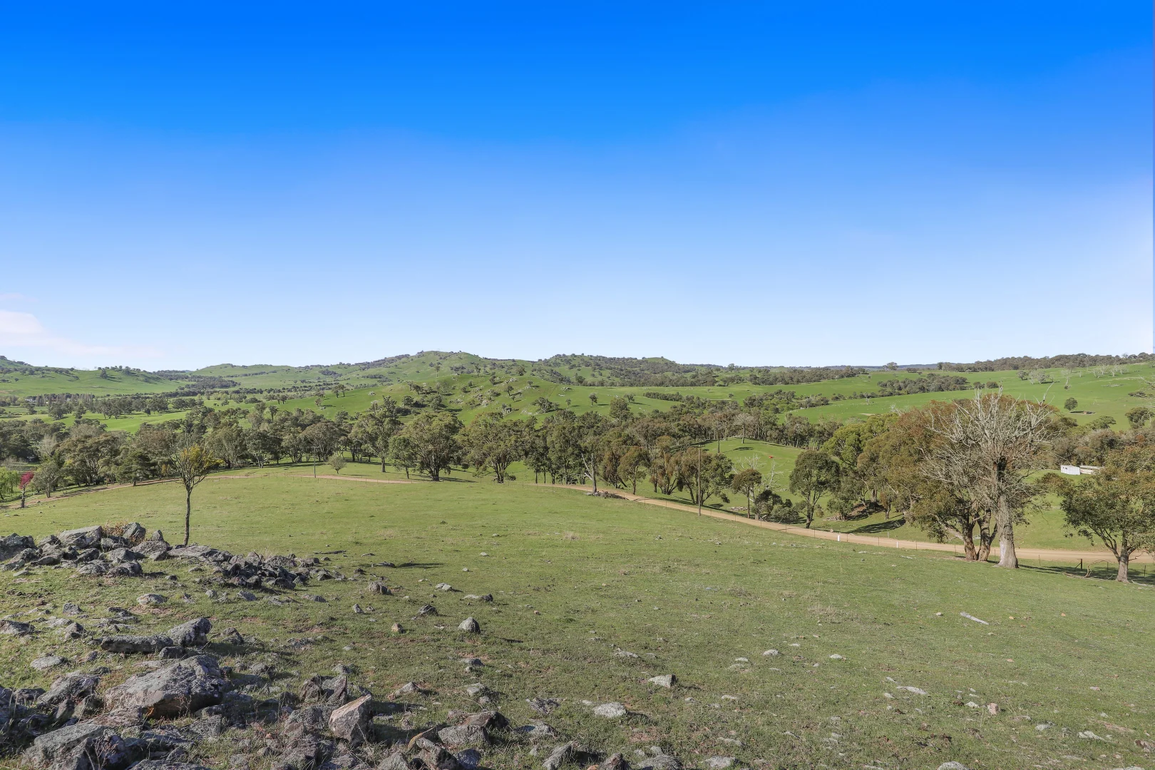 Image 20