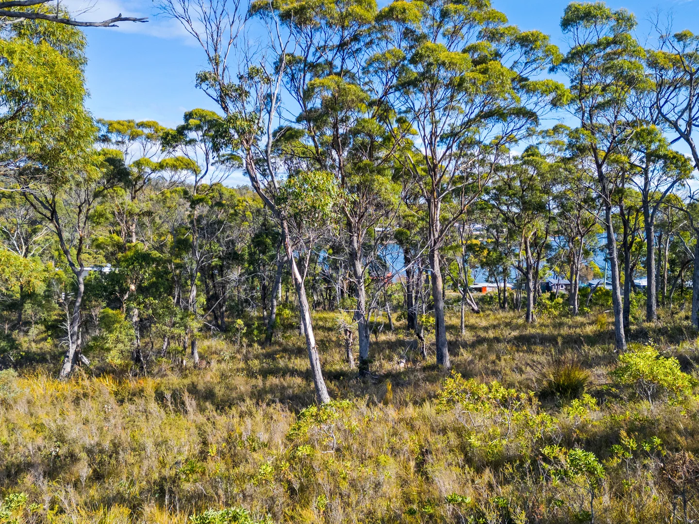 Image 15